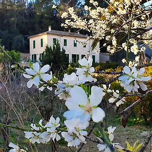 Sa Maniga Country house